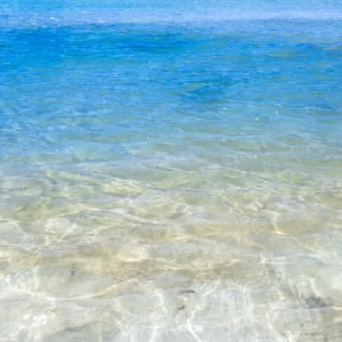 石垣島・白保の海①