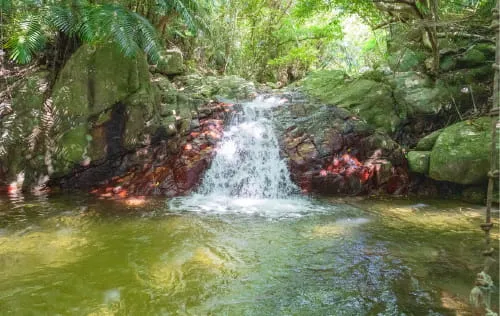 石垣島のおすすめスポット　あらかわの滝