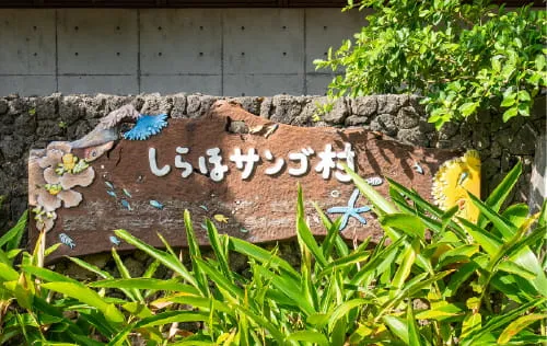 石垣島のおすすめスポット　しらほサンゴ村